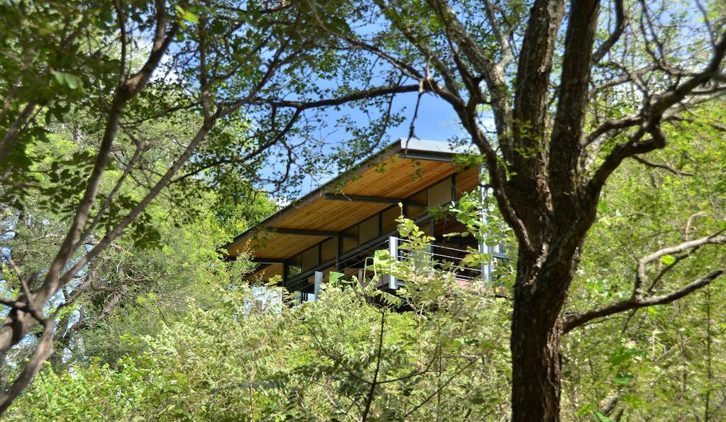 Greenfire Game Lodge Balule Természetvédelmi Rezervátum Kültér fotó