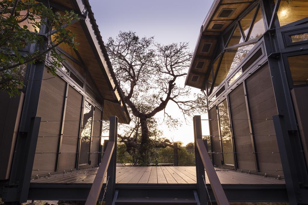 Greenfire Game Lodge Balule Természetvédelmi Rezervátum Szoba fotó